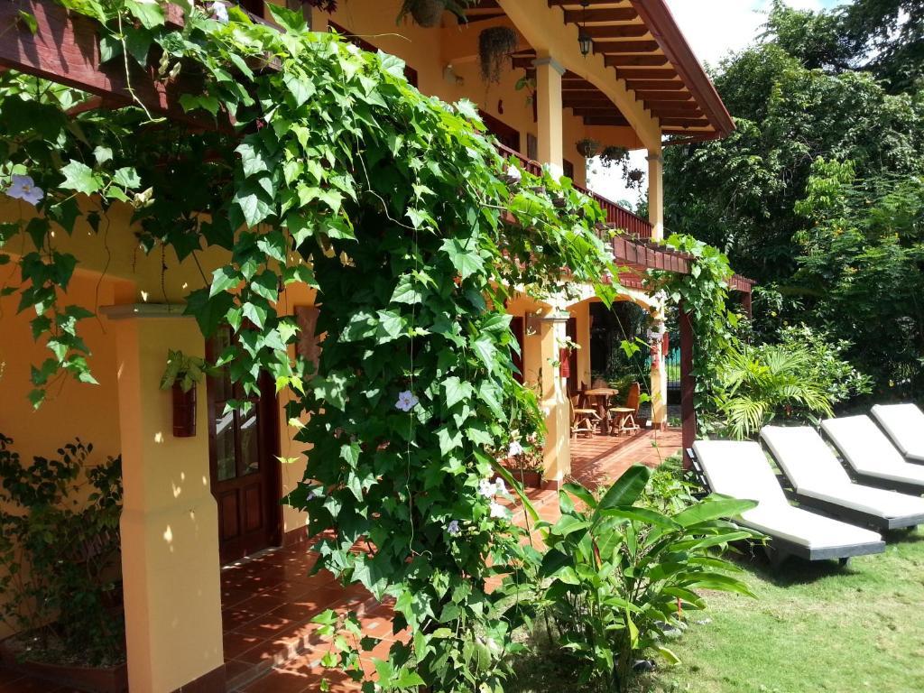 Hotel Green Jaco Exterior photo