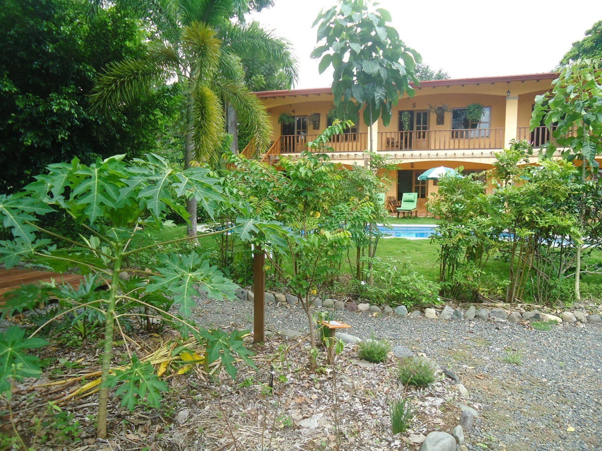 Hotel Green Jaco Exterior photo